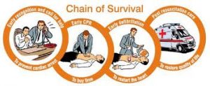 Call for help Early CPR Early Defibrillation Survival